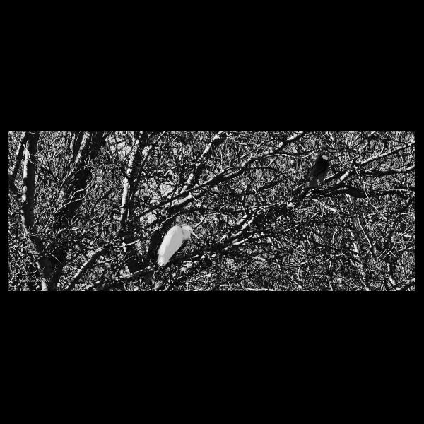 PHOTO84, CLUB, 84 , LUBERON